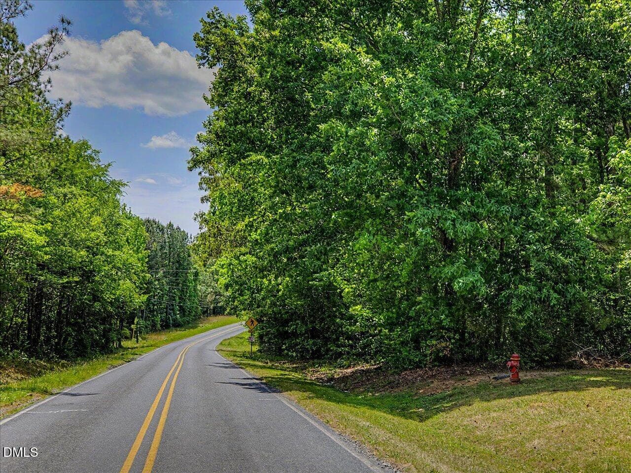 50-Wooded Area - 393 Gum Springs Church Road, Moncure, NC 27559