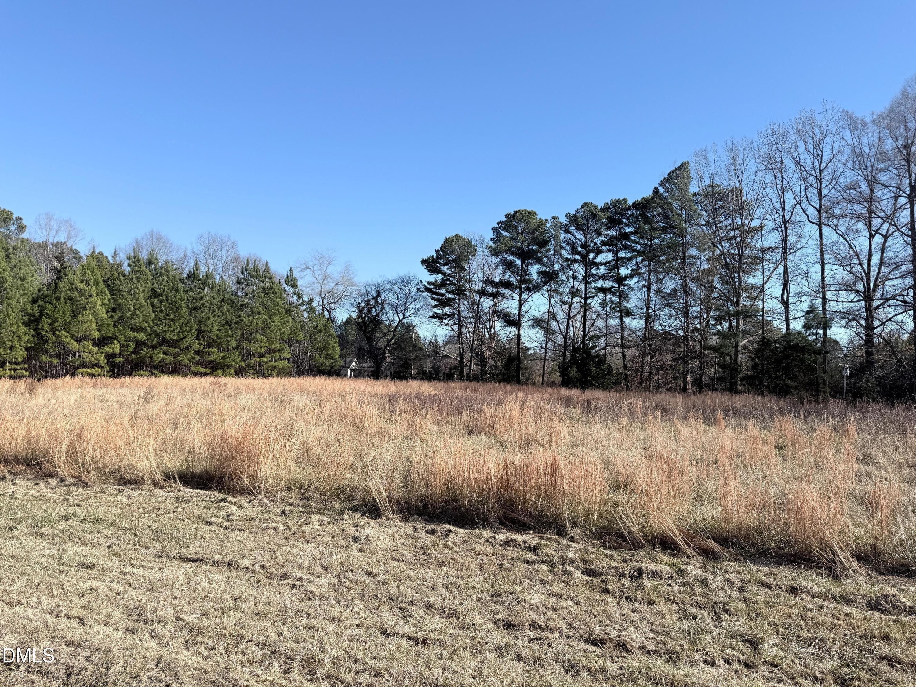 Pic4 - 111 Berea Road, Rougemont, NC 27572