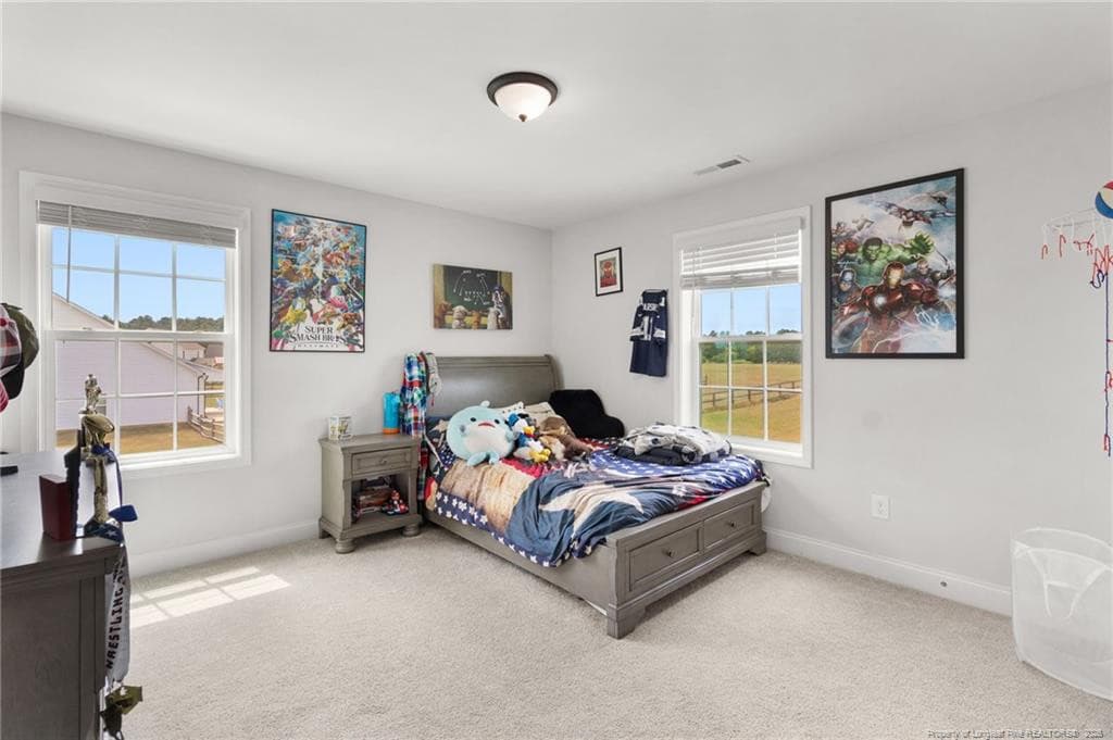 Photo 33 - 319 Rocking Horse Lane, Raeford, NC 28376