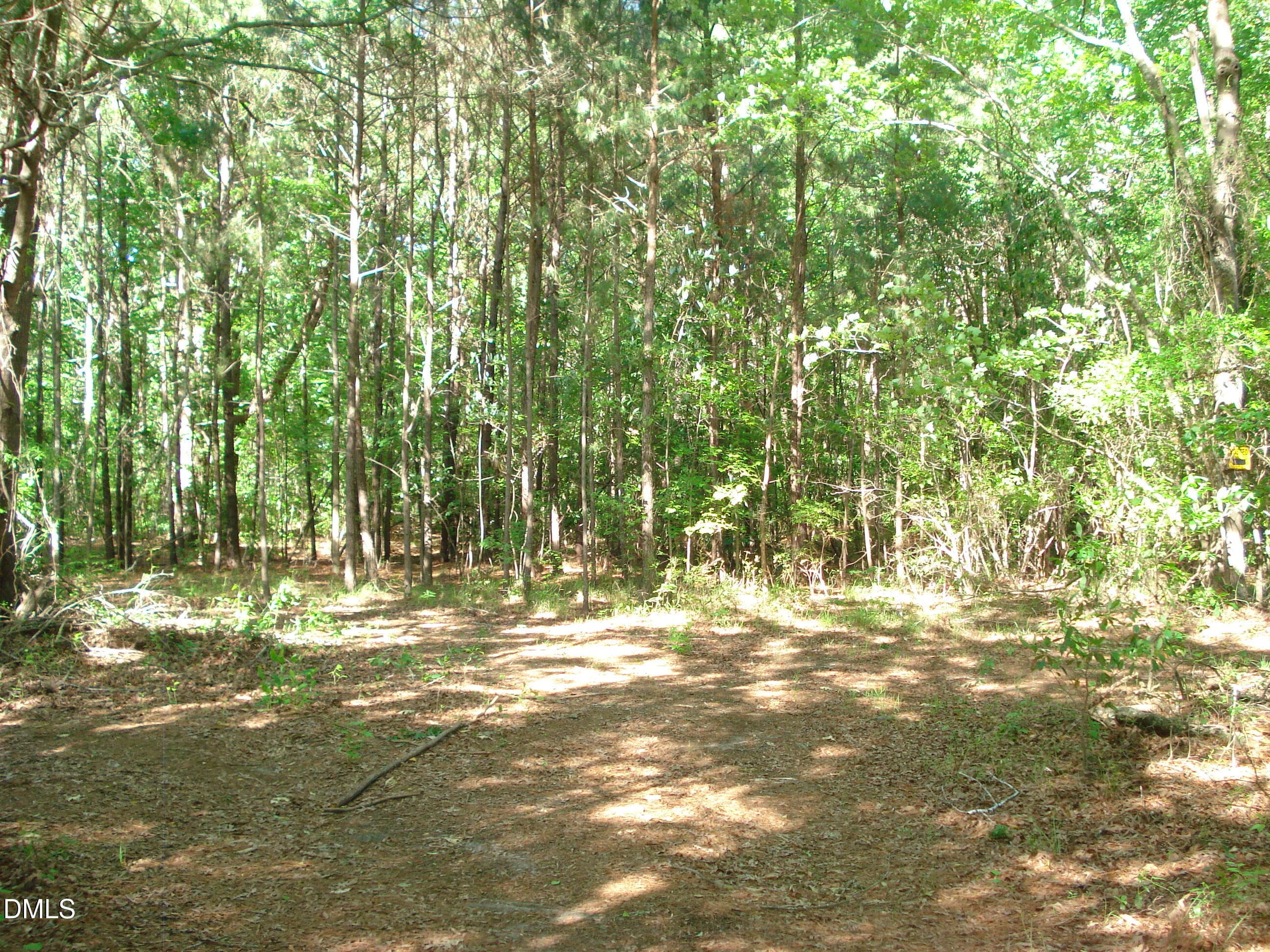 DSC09338 - 00 Nc 82 Highway, Dunn, NC 28334