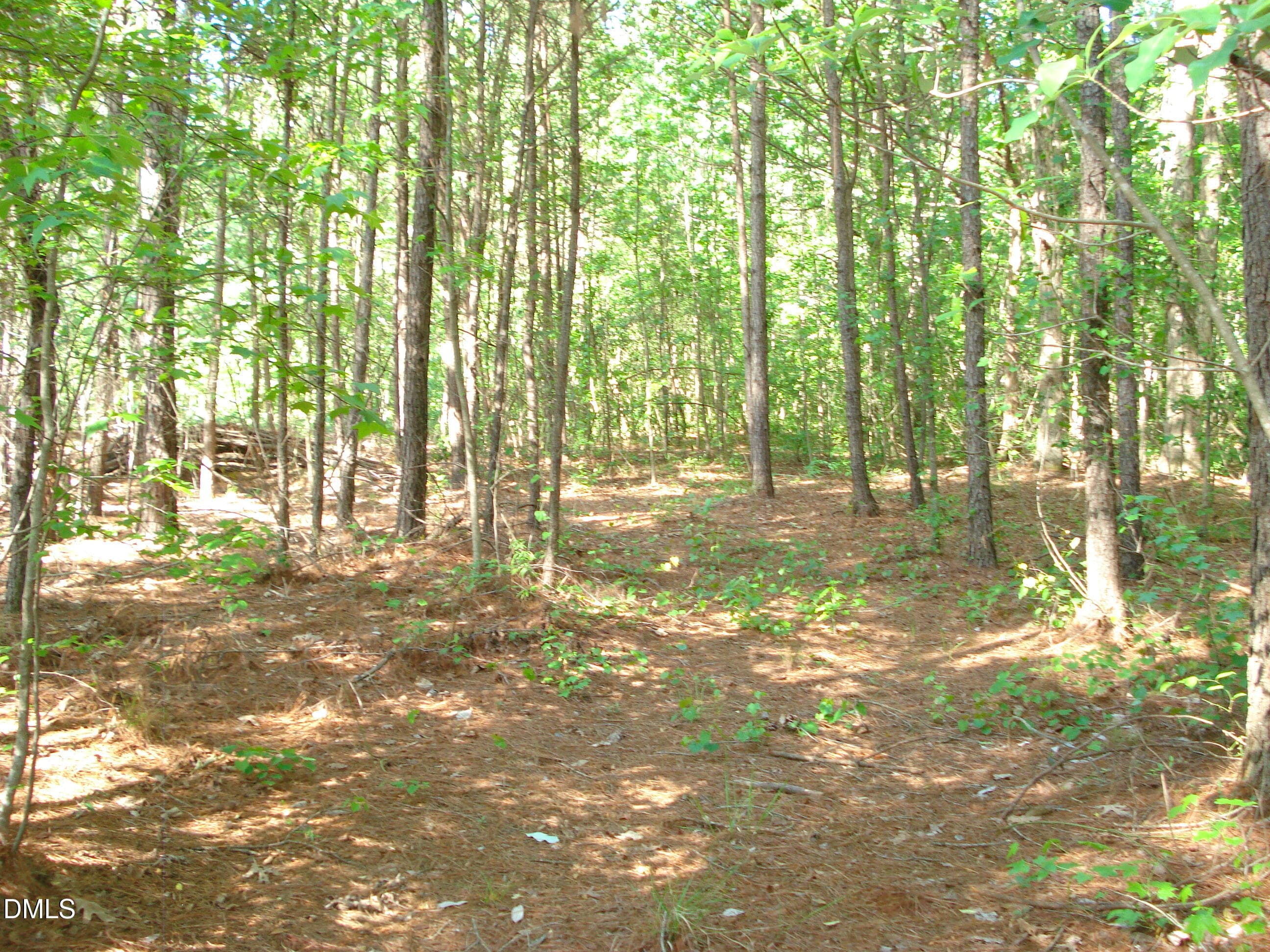 DSC09346 - 00 Nc 82 Highway, Dunn, NC 28334