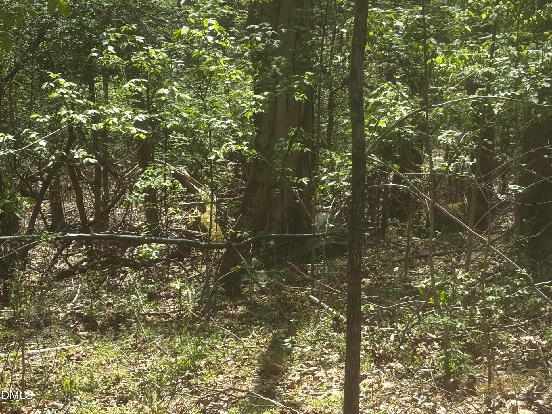 IMG_0399 - 16 Quail Hollow Drive, Roxboro, NC 27574