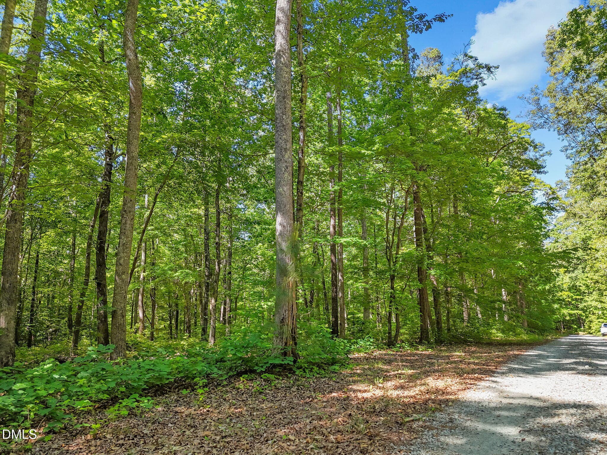 8-web-or-mls-DJI_20260504103526_0565_D - 3820 Riversound Lane, Hurdle Mills, NC 27541