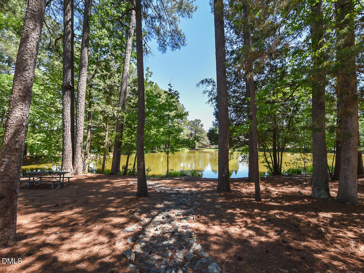 ammenities - pond - OK - 242 Hales Wood Road, Chapel Hill, NC 27517, Chapel Hill