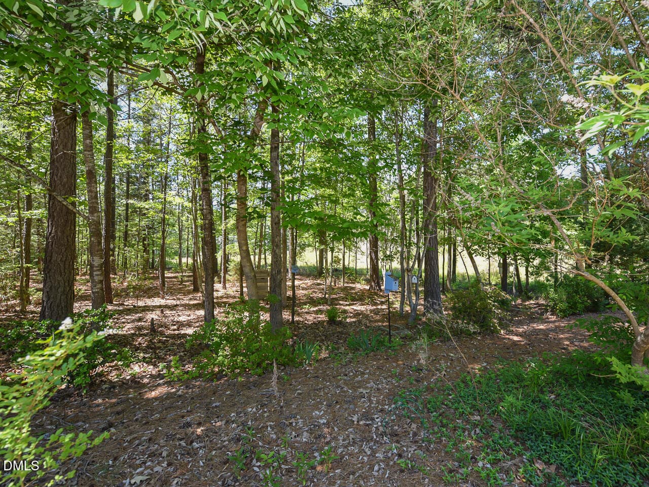 Exterior - yard - OK - 242 Hales Wood Road, Chapel Hill, NC 27517, Chapel Hill