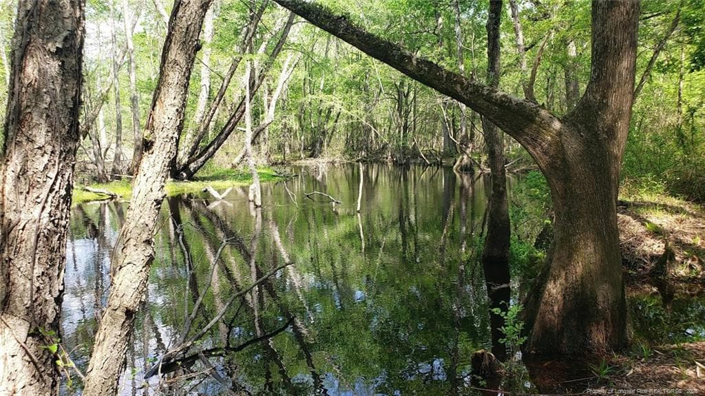 Photo 8 - 52 Acres River Access, Lumberton, NC 28360