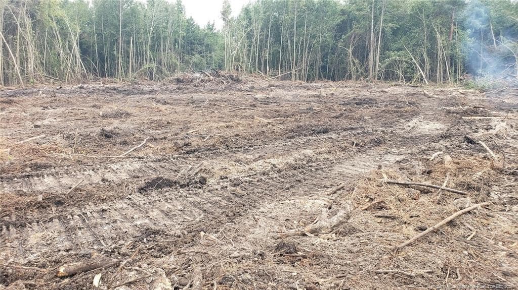 Photo 13 - 52 Acres River Access, Lumberton, NC 28360