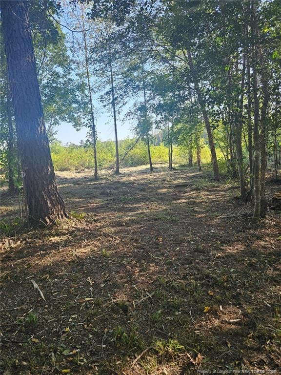 Photo 16 - 52 Acres River Access, Lumberton, NC 28360