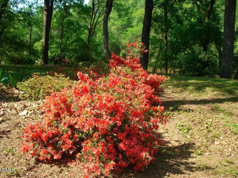 OLDE FERRY SPRINGTIME LOTS 1-20 (7) - 0 River Bluff Drive S, Dunn, NC 28334