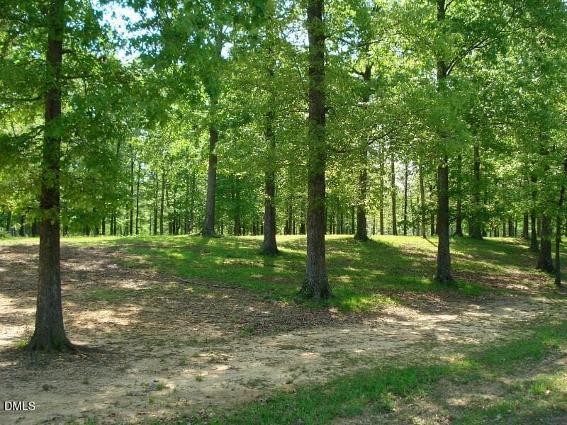 OLDE FERRY SPRINGTIME LOTS 1-20 (32) - 0 River Bluff Drive S, Dunn, NC 28334