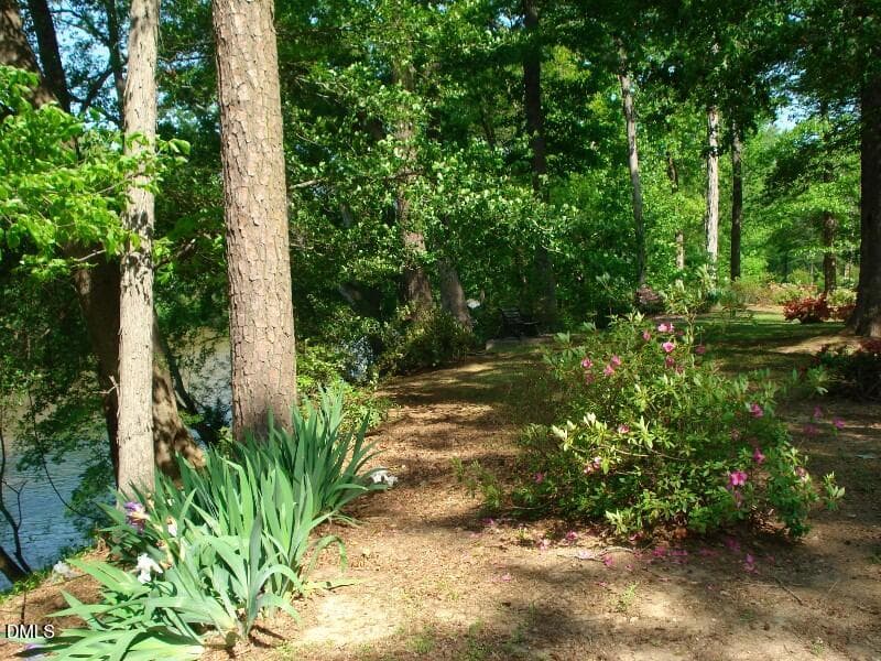 OLDE FERRY SPRINGTIME LOTS 1-20 - 0 River Bluff Drive S, Dunn, NC 28334