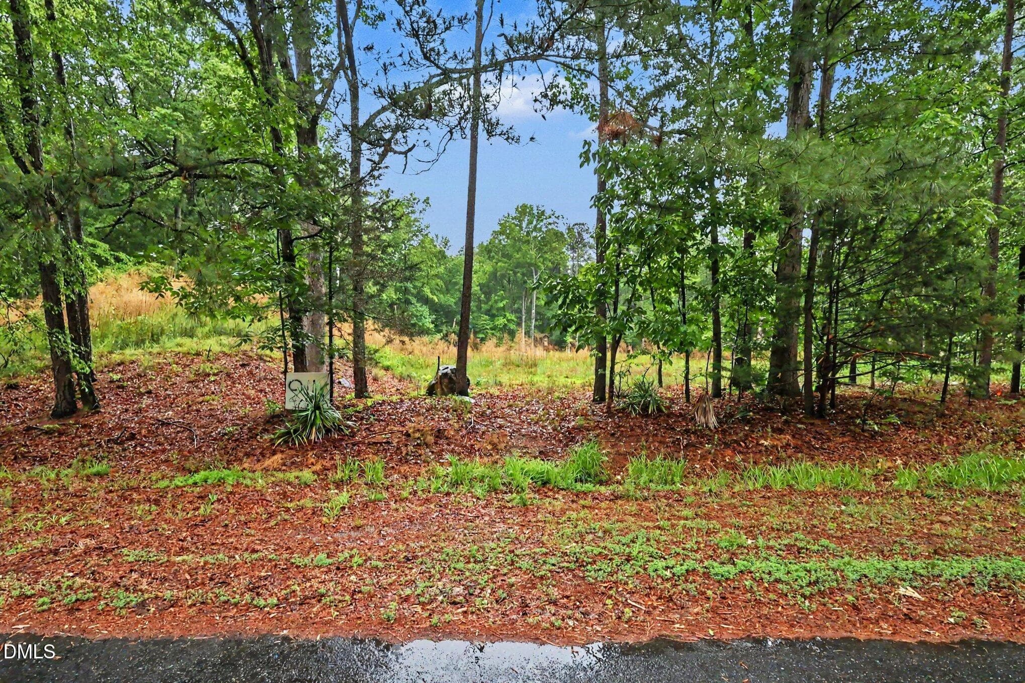 003_file_8745 - 2116 Forest Ridge Place, Durham, NC 27705, Durham