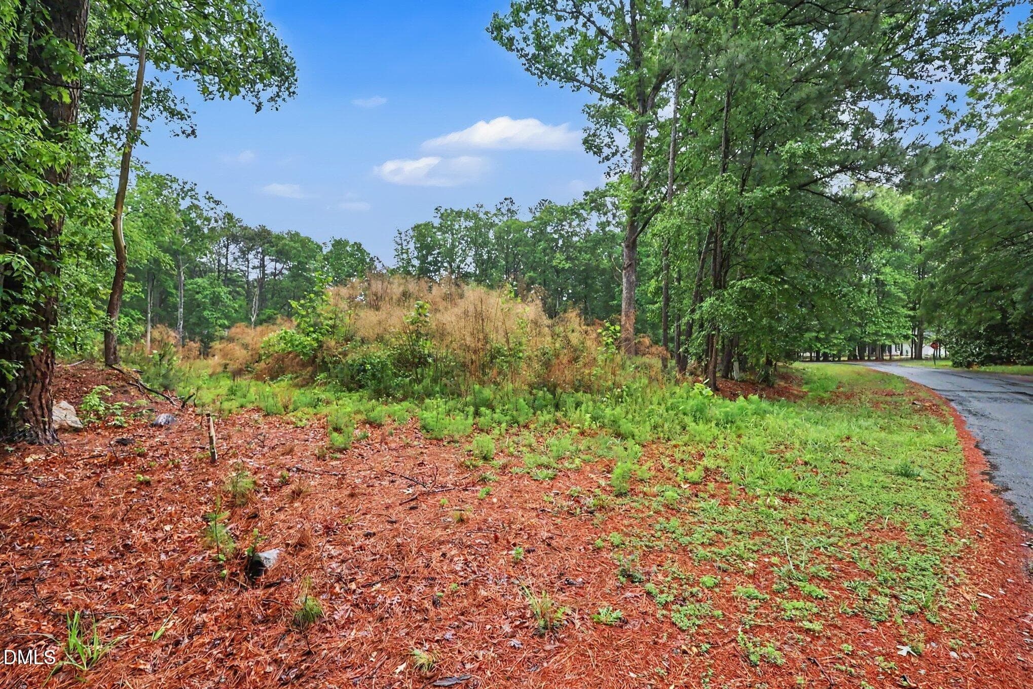 004_file_8605 - 2116 Forest Ridge Place, Durham, NC 27705, Durham