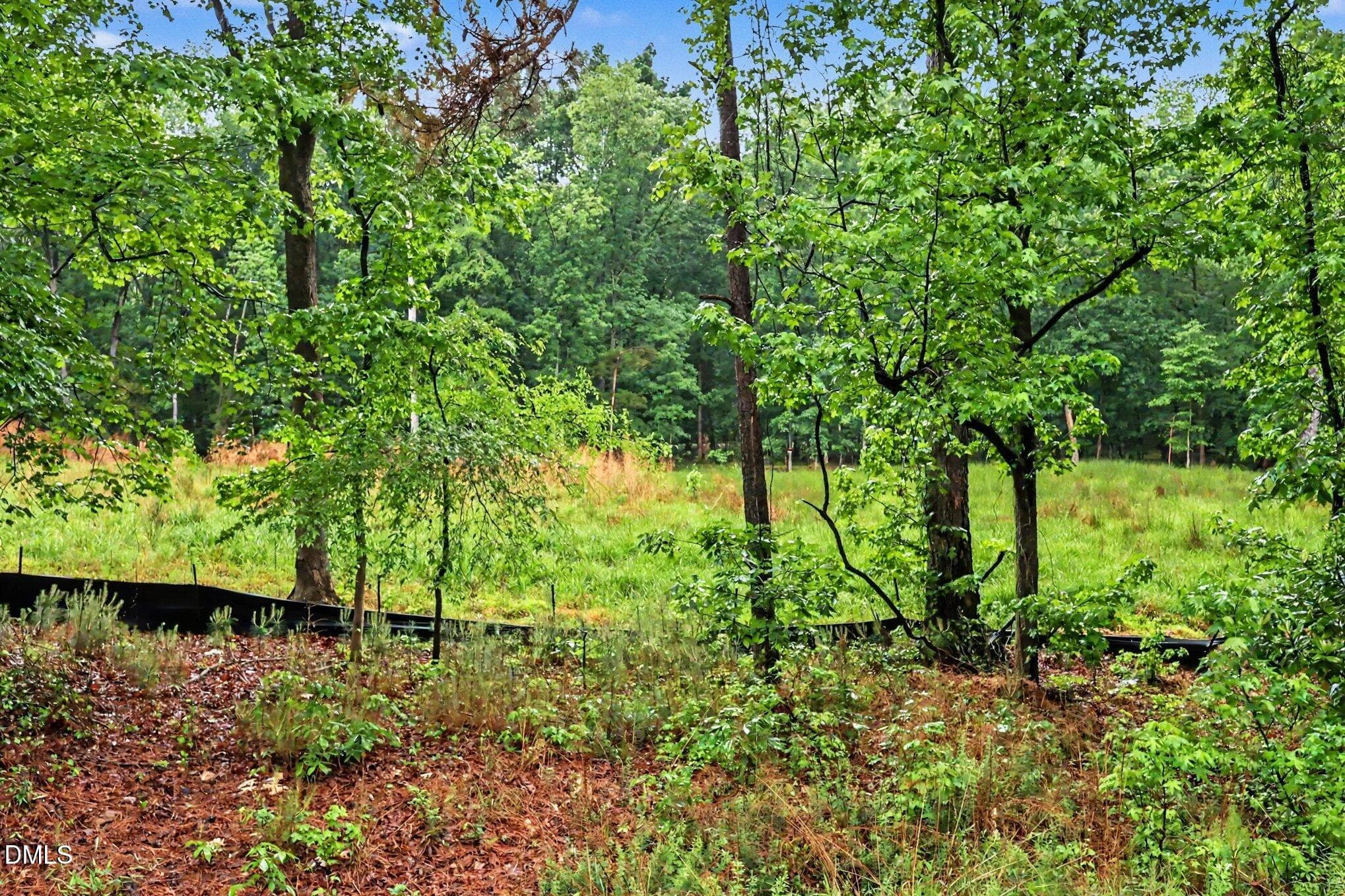 005_file_5680 - 2116 Forest Ridge Place, Durham, NC 27705, Durham