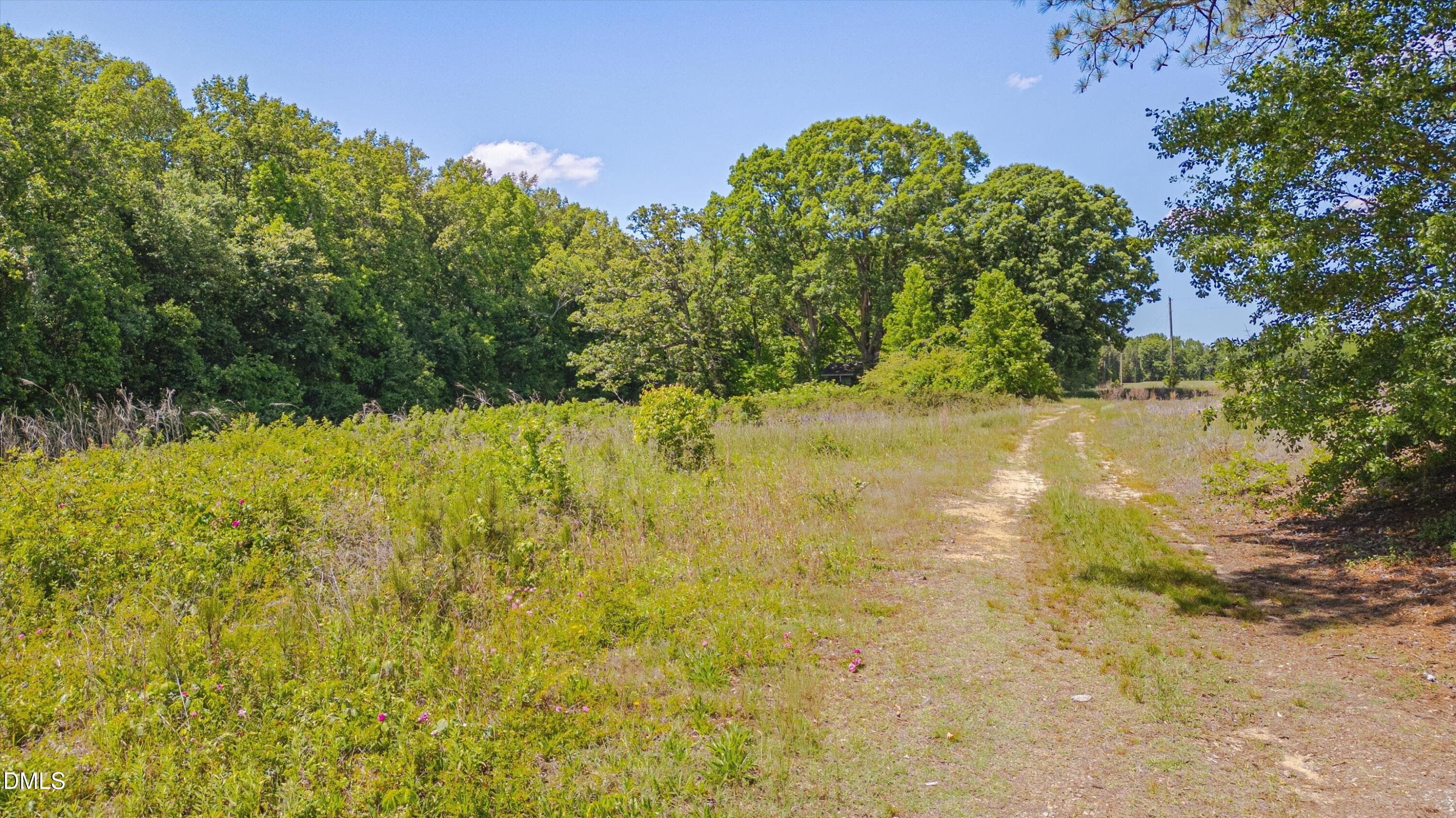 17-3454 Shearin Rd-16 - 3454 Shearin Road, Whitakers, NC 27891