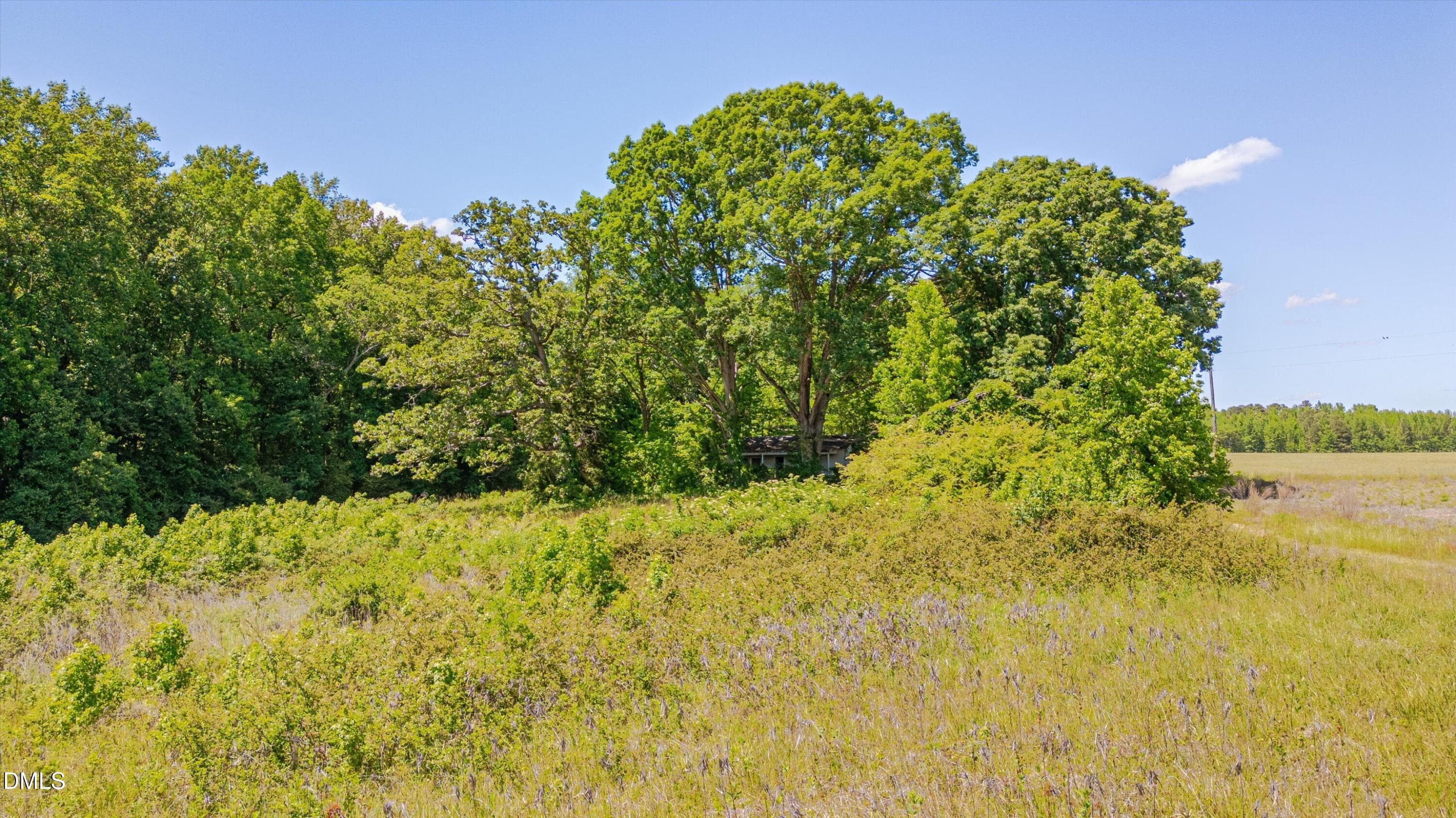 18-3454 Shearin Rd-17 - 3454 Shearin Road, Whitakers, NC 27891