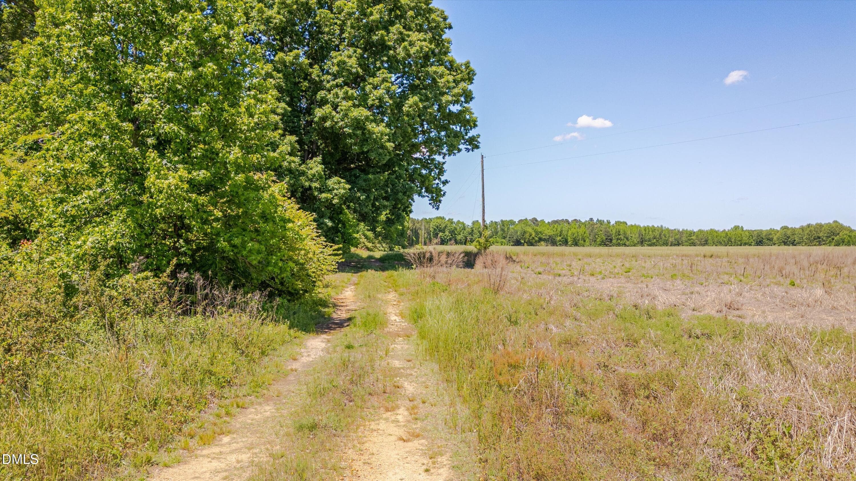 19-3454 Shearin Rd-18 - 3454 Shearin Road, Whitakers, NC 27891