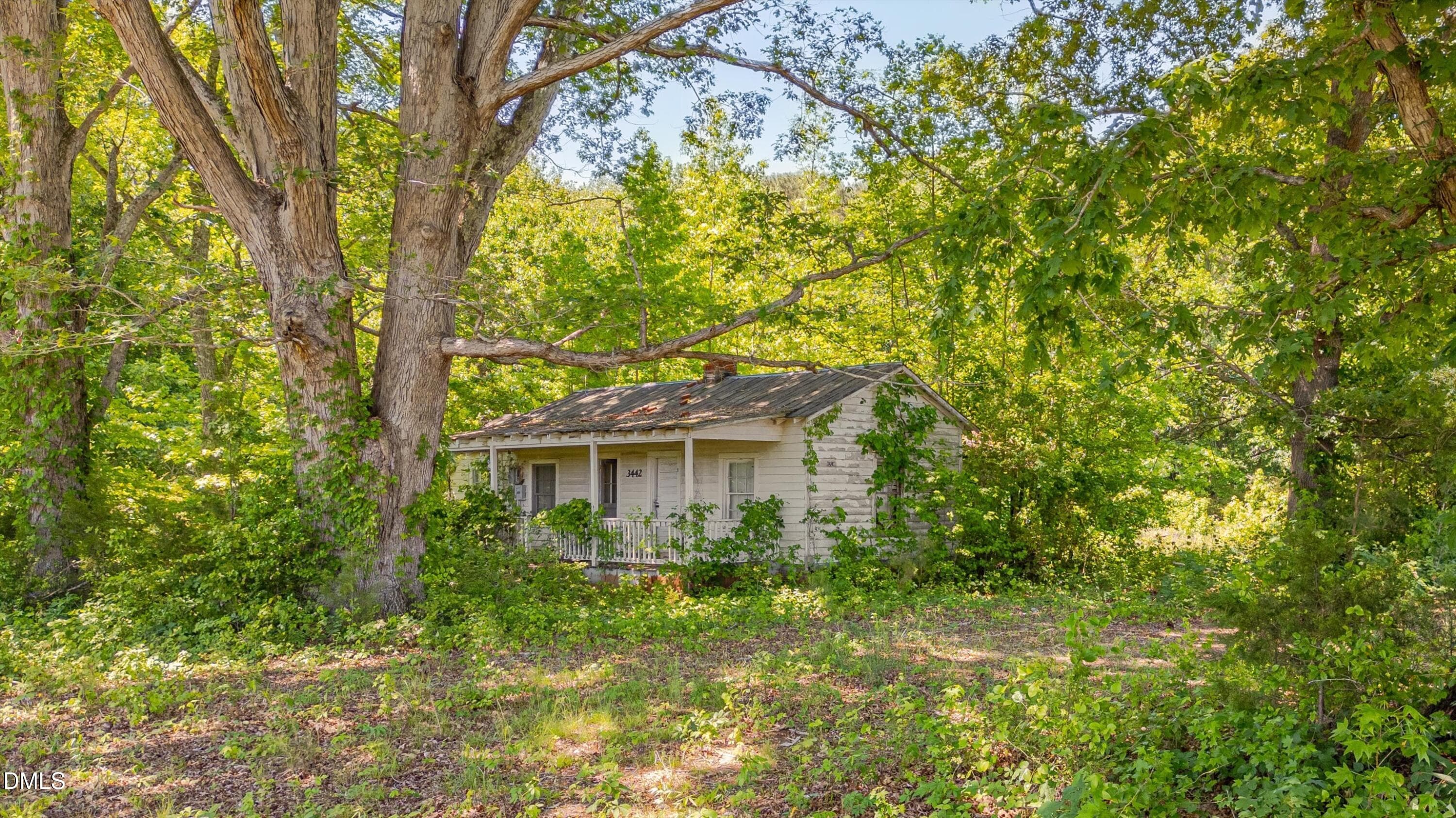 20-3454 Shearin Rd-19 - 3454 Shearin Road, Whitakers, NC 27891