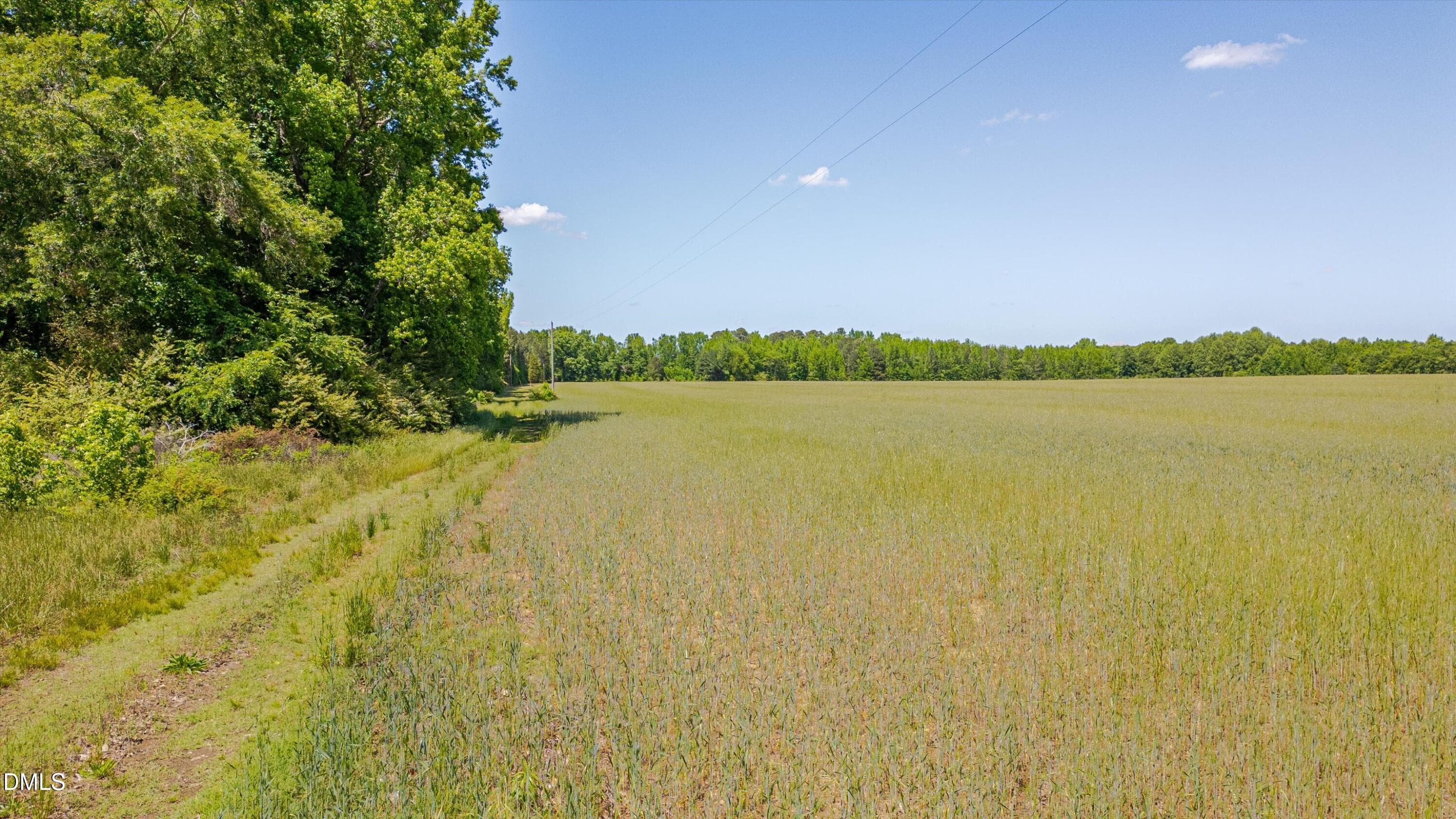 22-3454 Shearin Rd-21 - 3454 Shearin Road, Whitakers, NC 27891