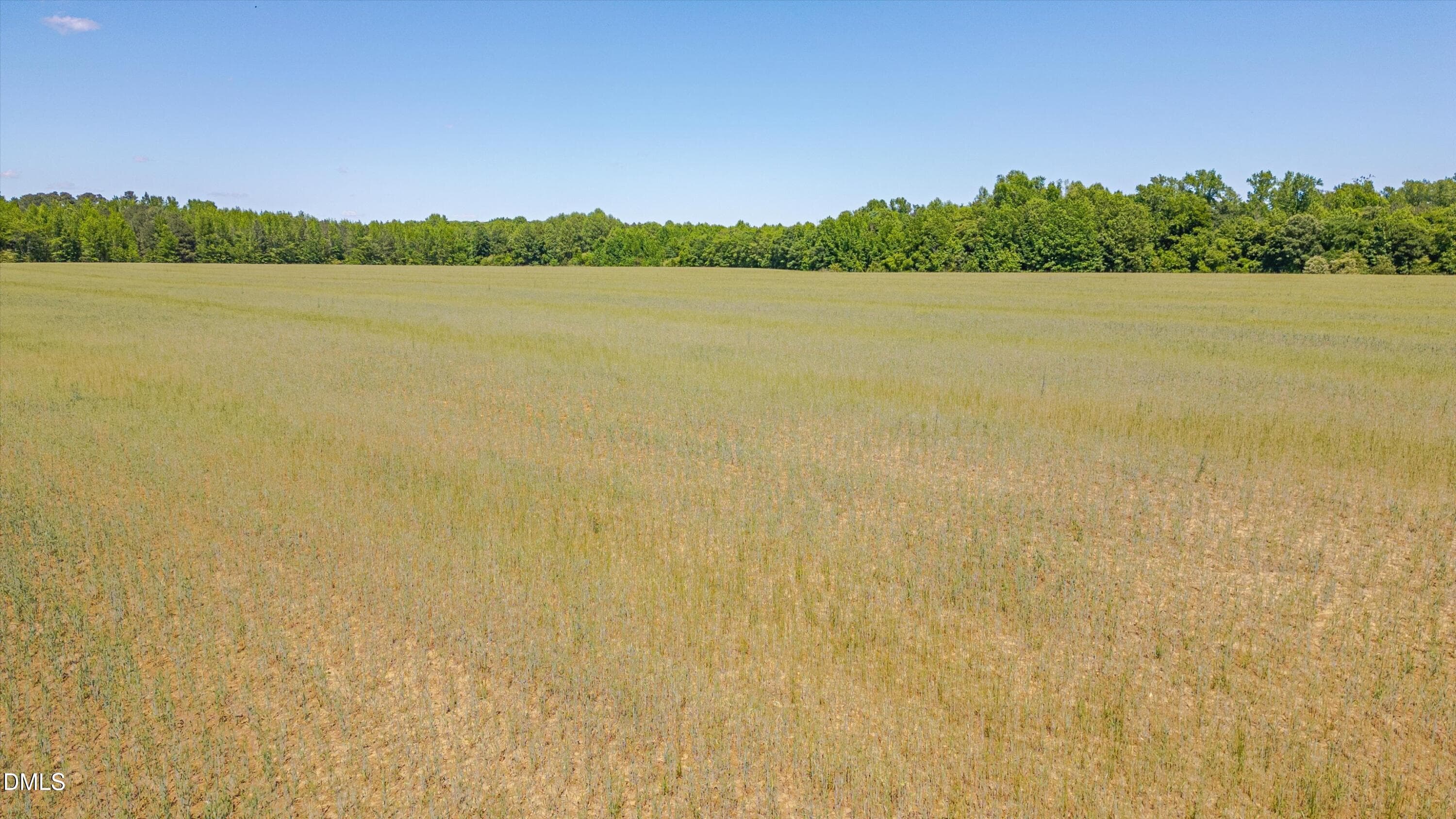 23-3454 Shearin Rd-22 - 3454 Shearin Road, Whitakers, NC 27891
