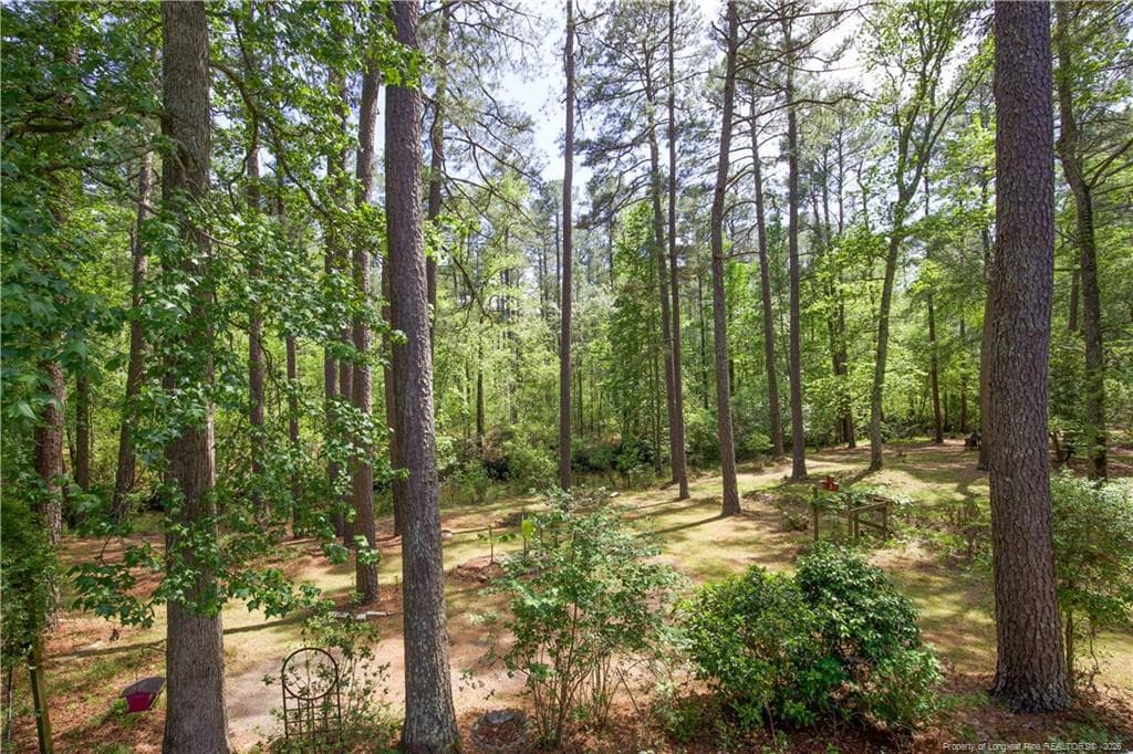 Photo 33 - 168 Riverview Drive, Vass, NC 28394, Vass