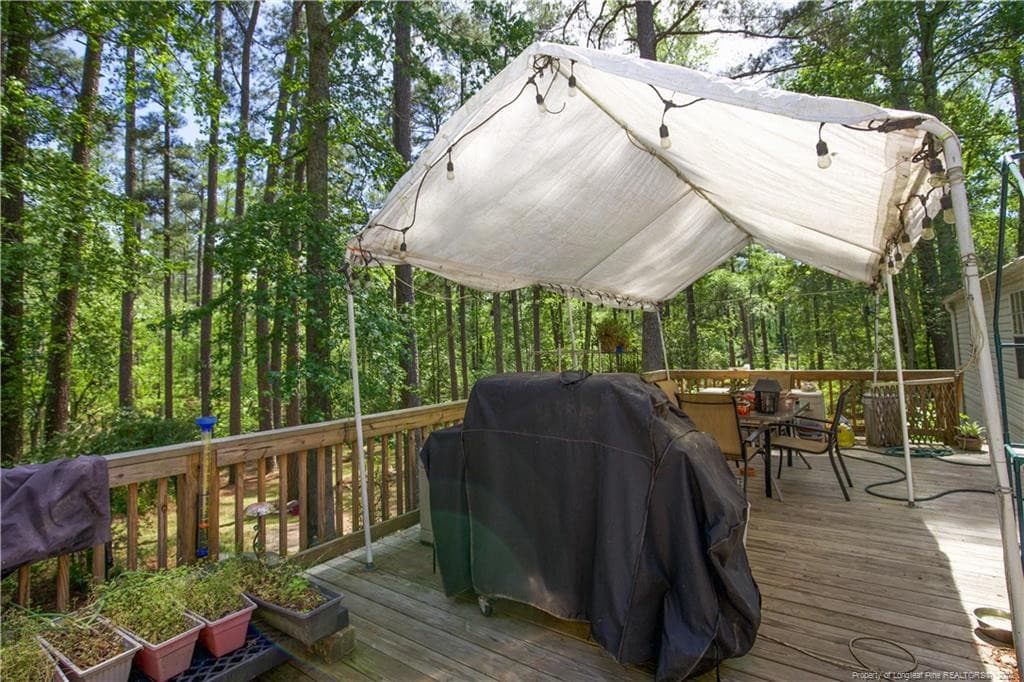 Photo 36 - 168 Riverview Drive, Vass, NC 28394, Vass