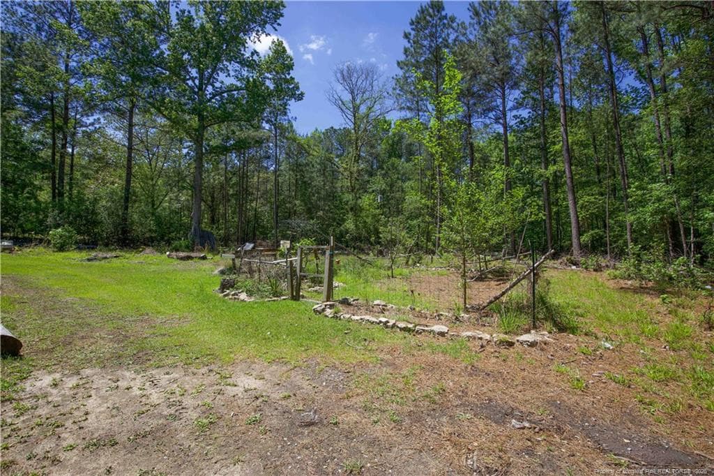 Photo 37 - 168 Riverview Drive, Vass, NC 28394, Vass