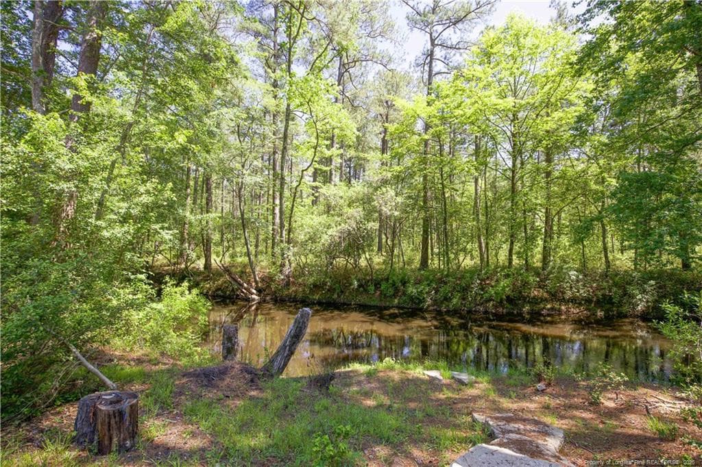 Photo 38 - 168 Riverview Drive, Vass, NC 28394, Vass