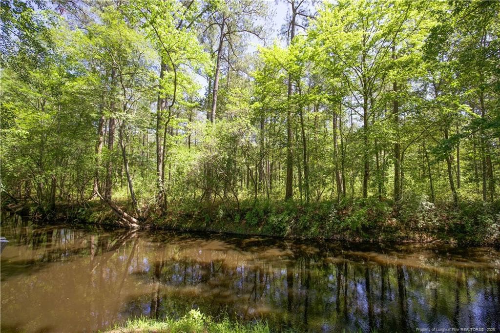 Photo 39 - 168 Riverview Drive, Vass, NC 28394, Vass