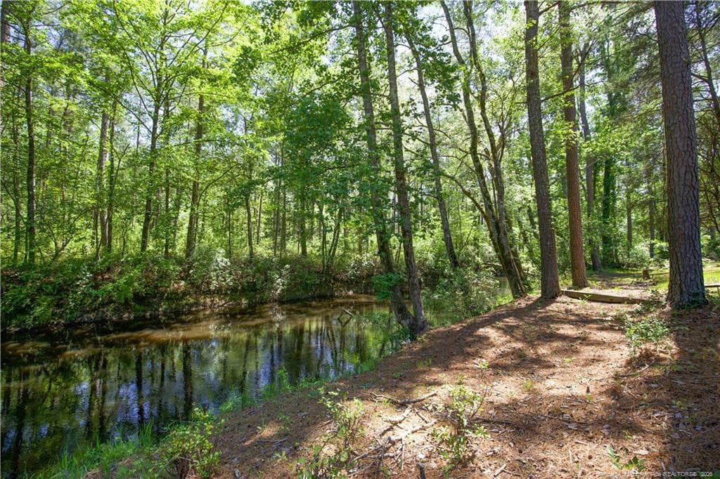 Photo 40 - 168 Riverview Drive, Vass, NC 28394, Vass