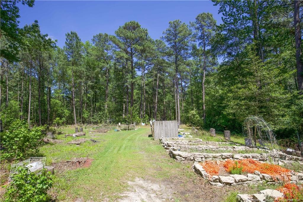 Photo 41 - 168 Riverview Drive, Vass, NC 28394, Vass
