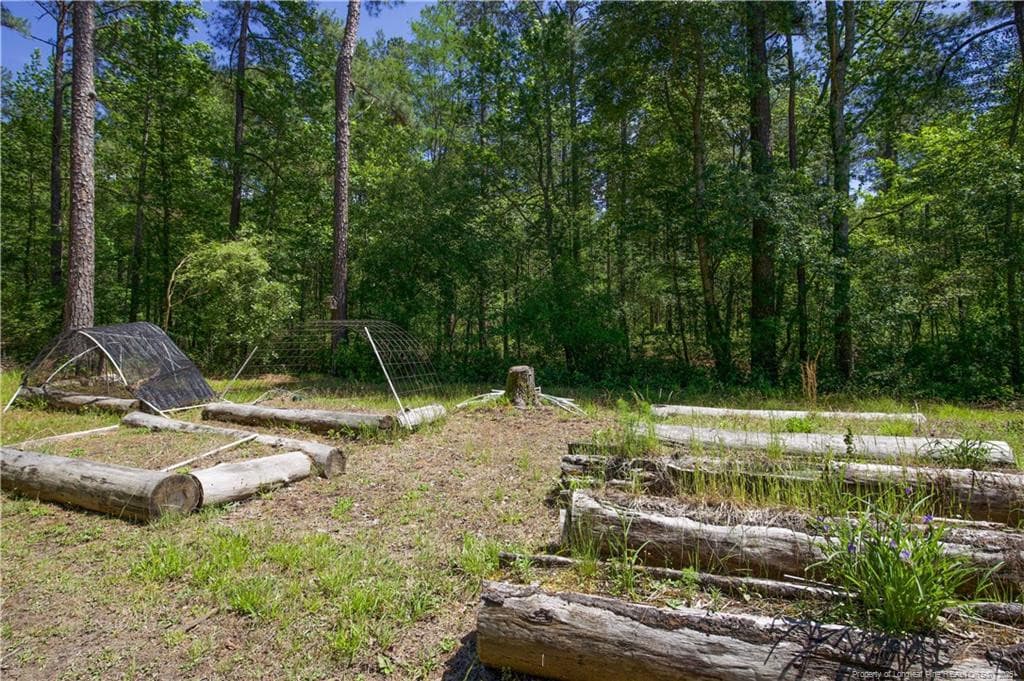 Photo 42 - 168 Riverview Drive, Vass, NC 28394, Vass