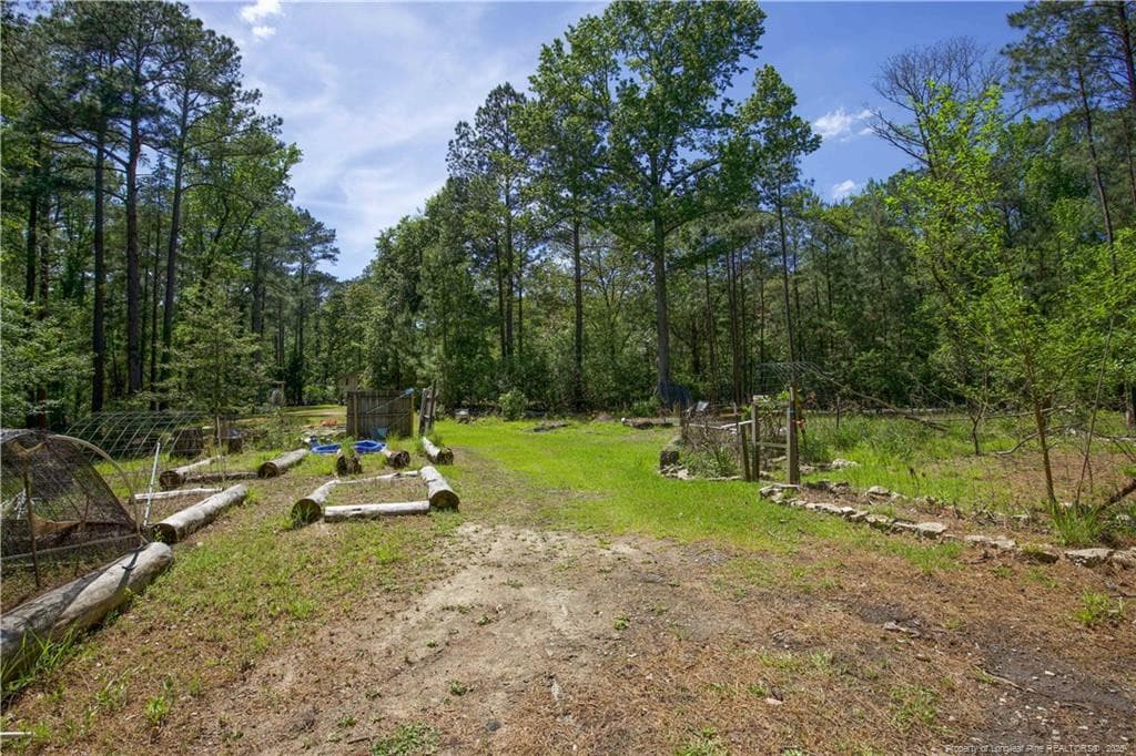 Photo 43 - 168 Riverview Drive, Vass, NC 28394, Vass