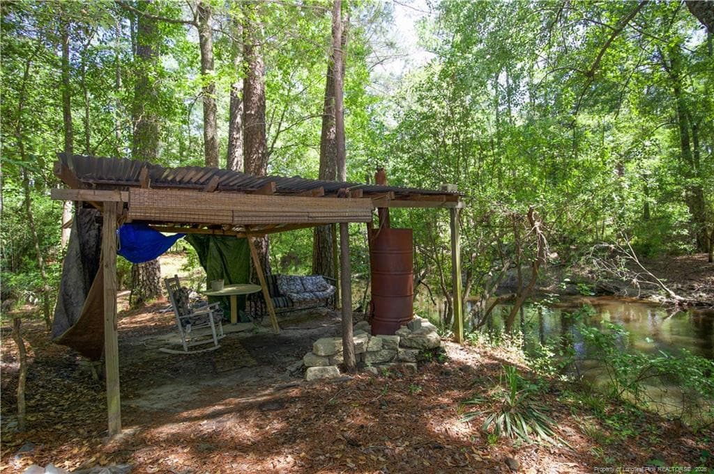 Photo 46 - 168 Riverview Drive, Vass, NC 28394, Vass