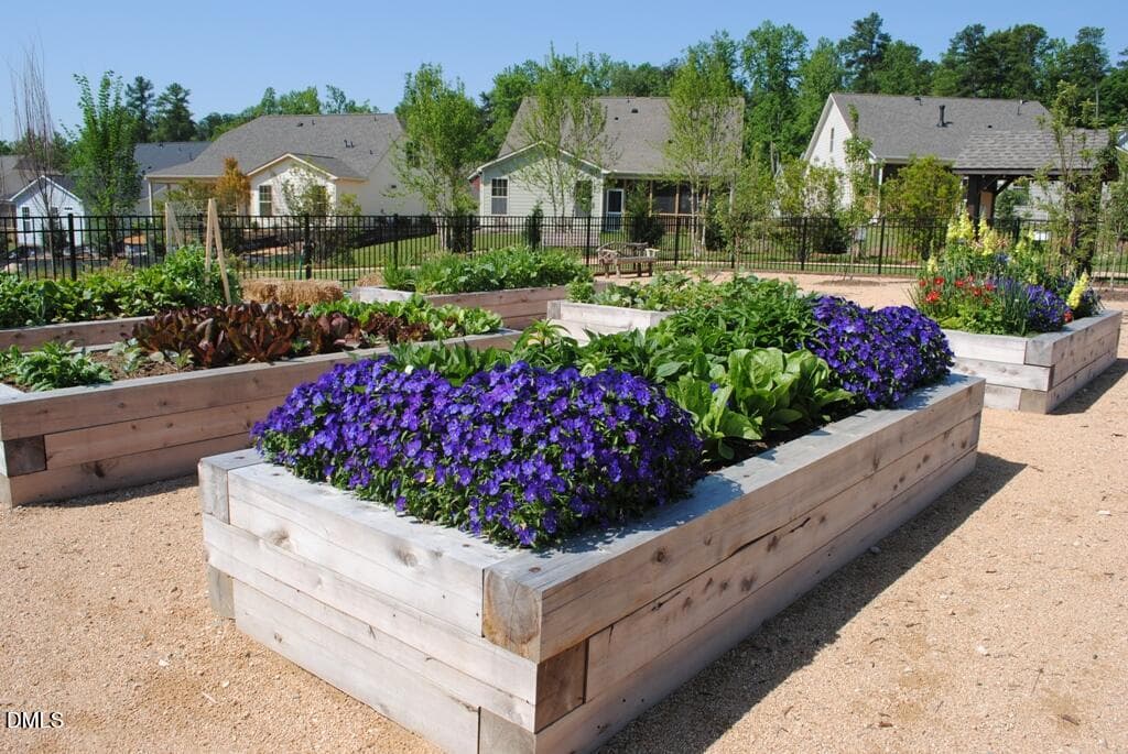 Briar Patch Community Garden - 297 Beacon Ridge Boulevard, Chapel Hill, NC 27516, Chapel Hill