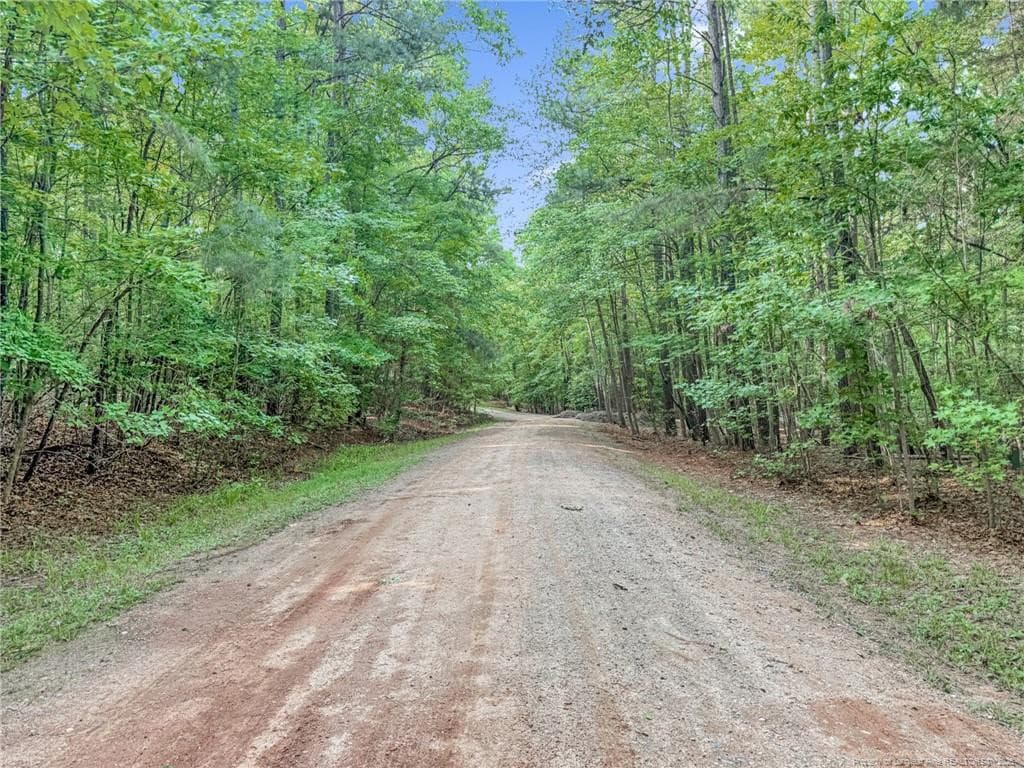 Photo 6 - 122 Palomino Rd Road, Carthage, NC 28327