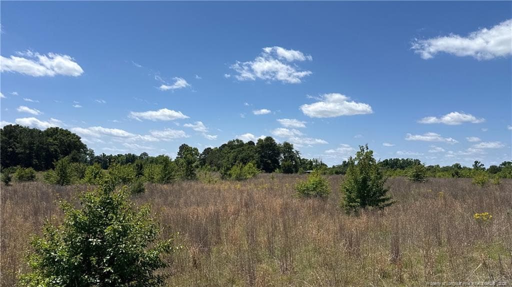 Photo 3 - Snipes Road, Red Springs, NC