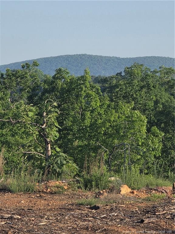 Photo 2 - 000 Skeen View Road, Asheboro, NC 27205
