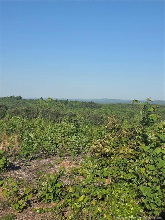 Photo 4 - 000 Skeen View Road, Asheboro, NC 27205