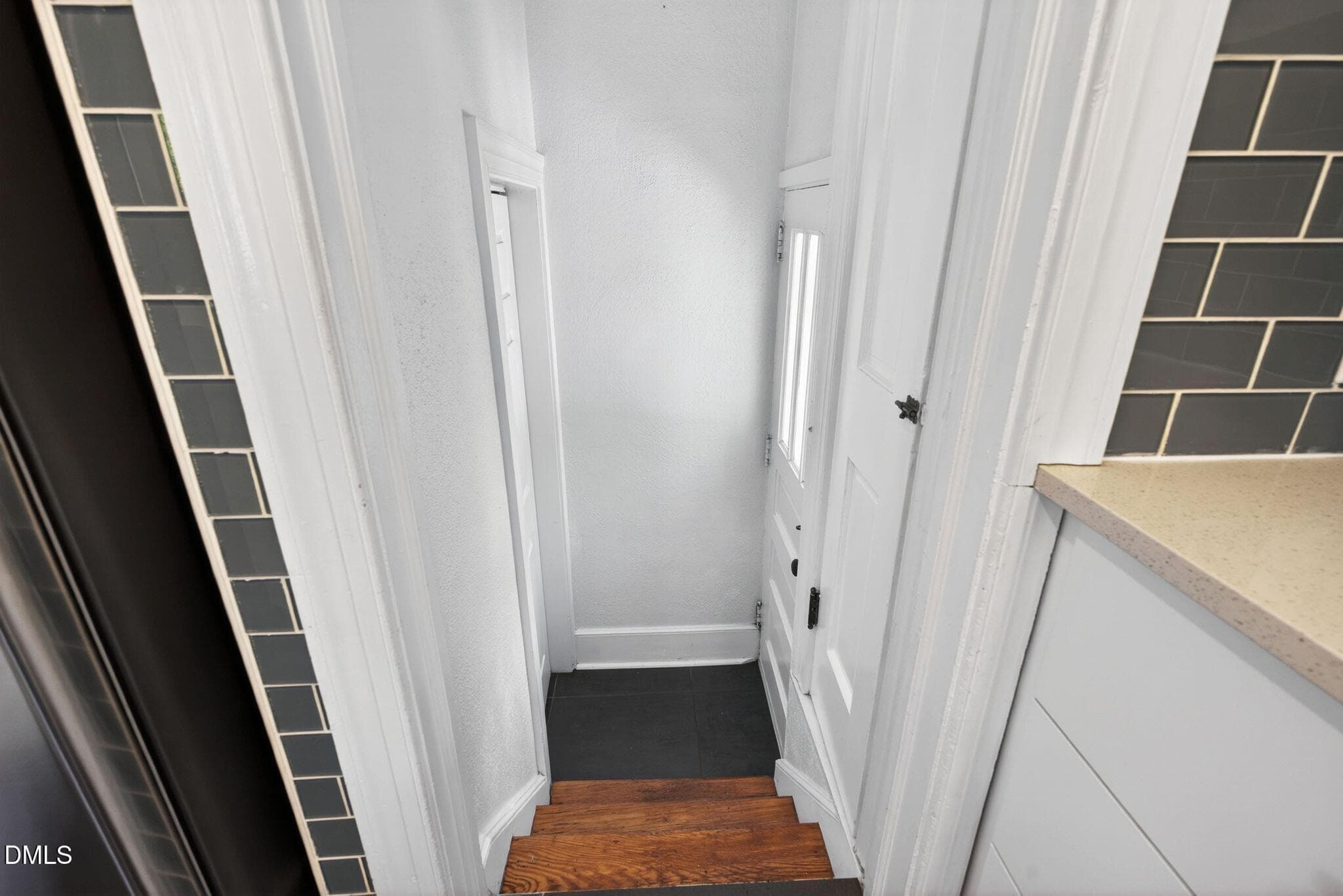 Basement Entrance - 113 E Whitaker Mill Road, Raleigh, NC 27608, Raleigh