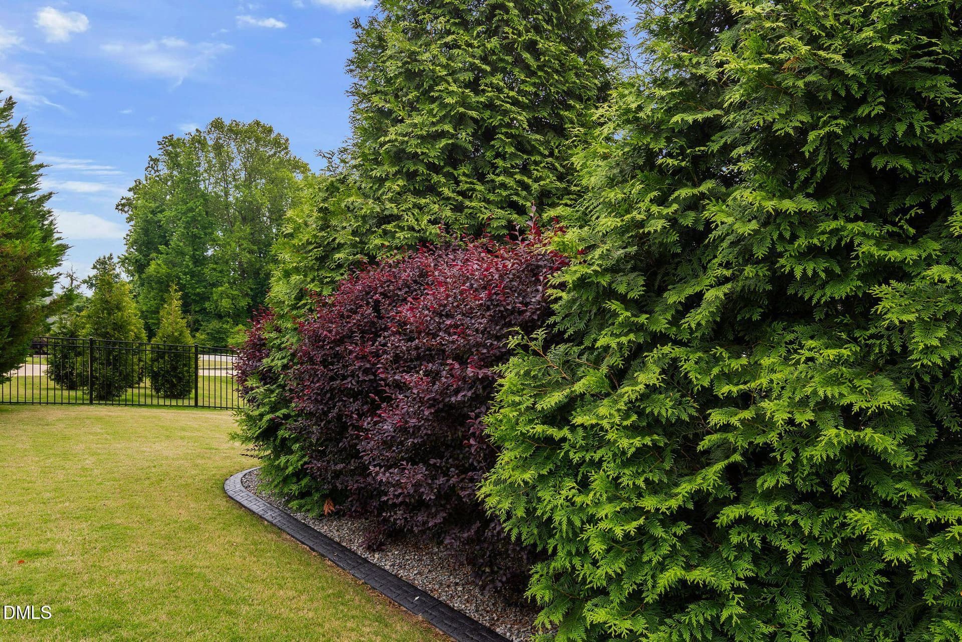 49_NJO04369 - 221 Misty Moonlight Drive, Willow Springs, NC 27592