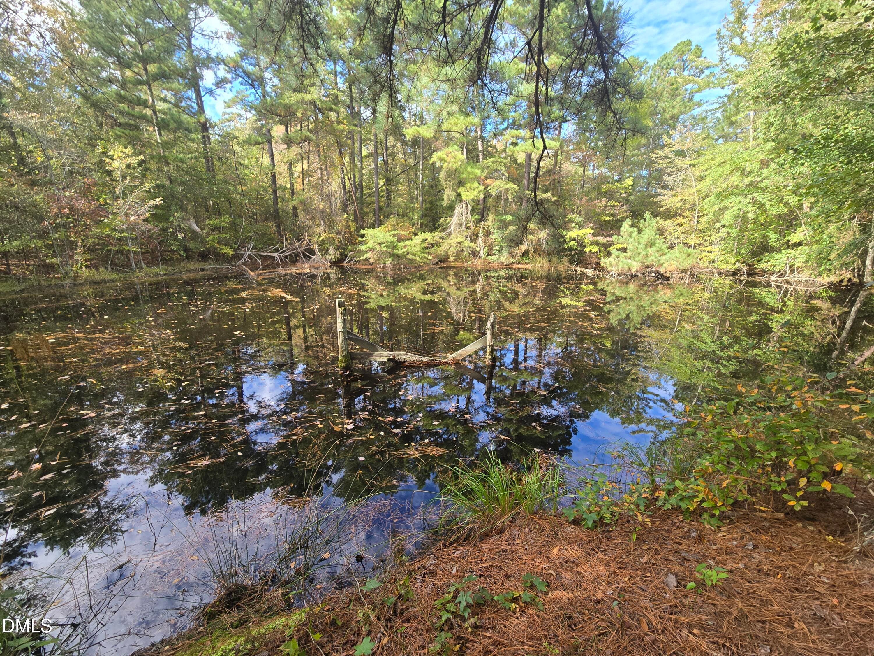 20251013_144716 - 0 Bass Mountain, Snow Camp, NC 27349