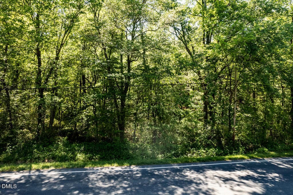 NC 87 (parcel 104826)-10 - 0 S South Nc 87 Hwy, Graham, NC 27253