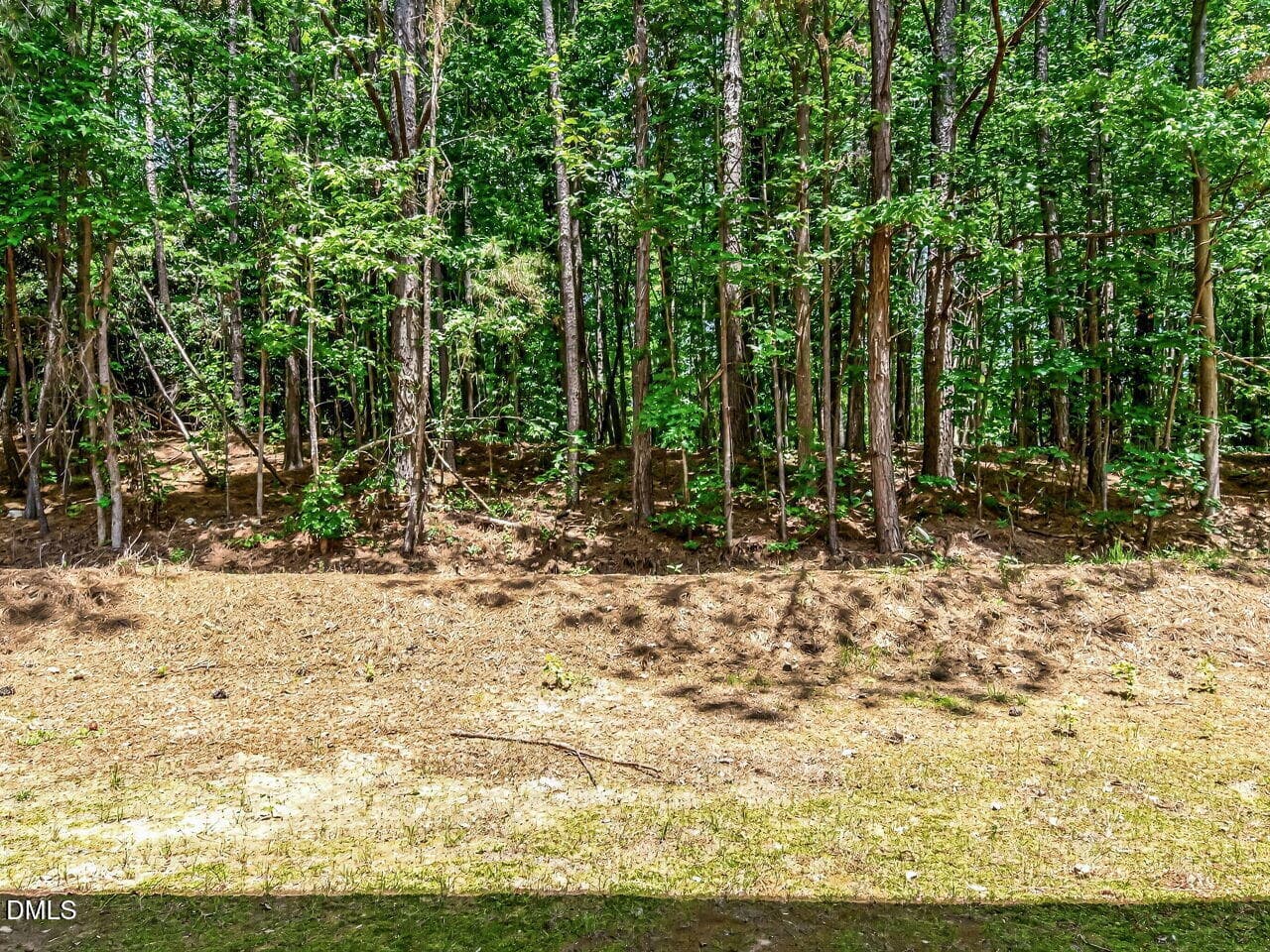 021-1280x960-back-yard - 3000 Trailwood Pines Lane 103, Raleigh, NC 27603, Raleigh