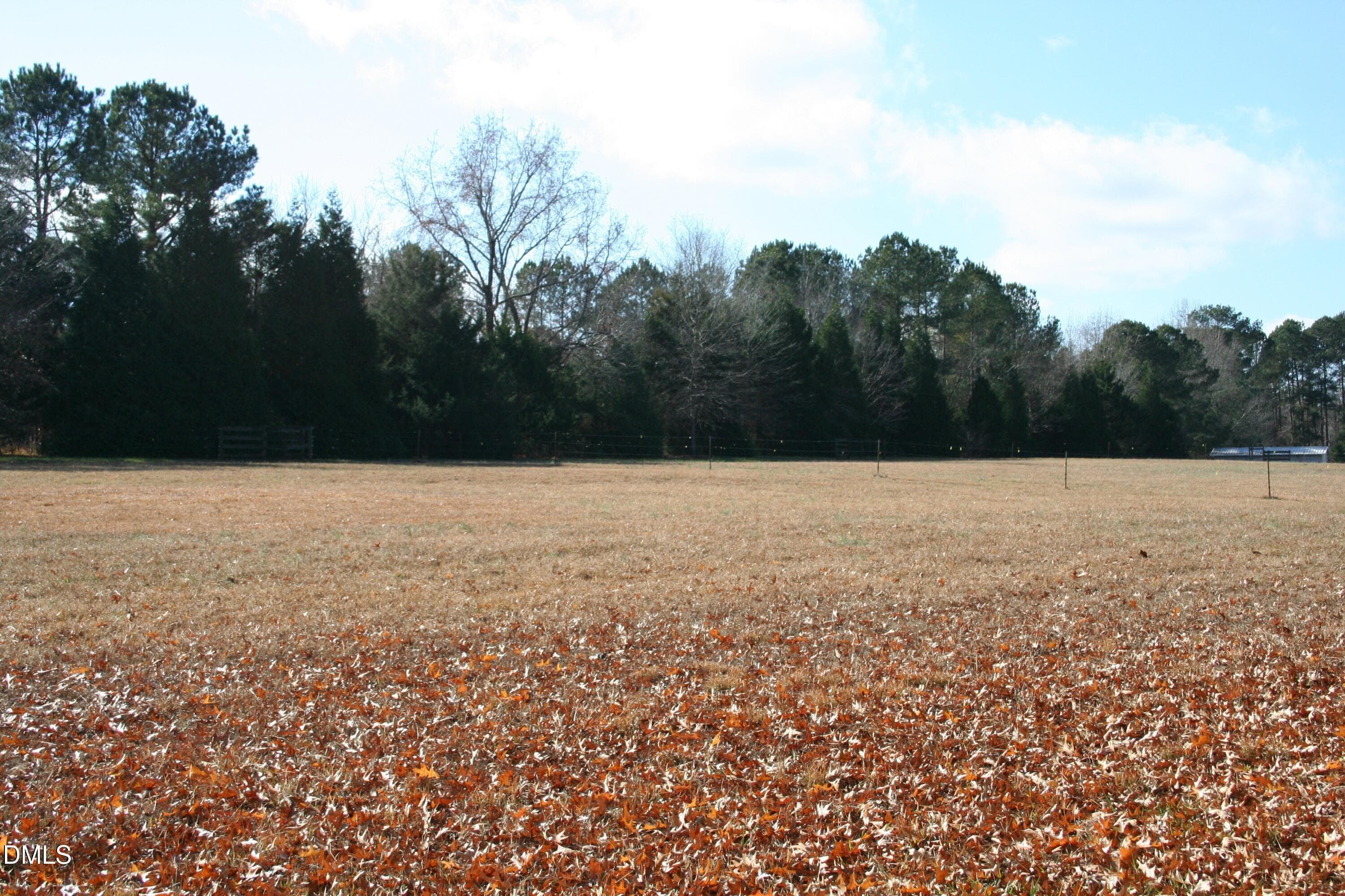 Pasture - 220 Jordan Narron Road, Selma, NC 27576