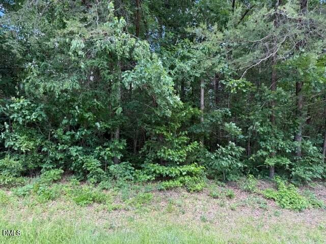 Vacant lot on corner - 3415 Mt Willing Road, Efland, NC 27243, Efland