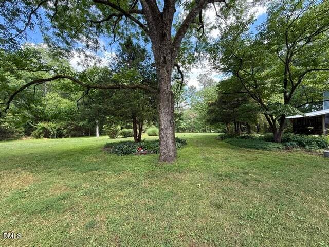 Gorgeous grounds - 3415 Mt Willing Road, Efland, NC 27243, Efland