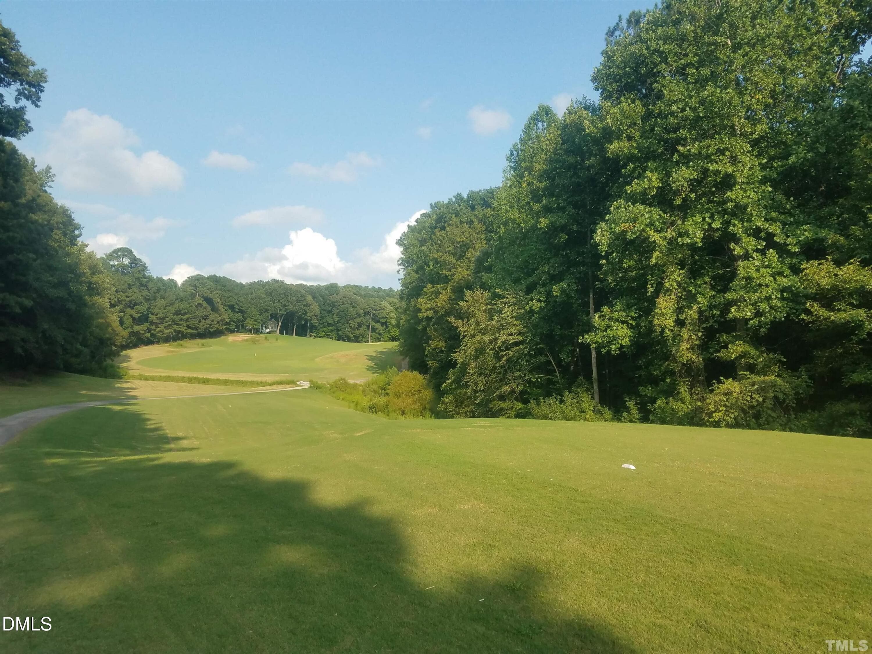 RiverGolfCourse5 - 219 Eagle Drive, Louisburg, NC 27549, Louisburg