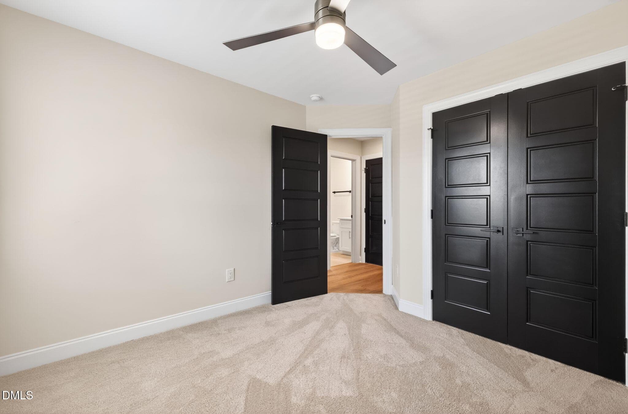 20-web-or-mls-IMG_0273 - 44 N Carrie Street, Coats, NC 27521