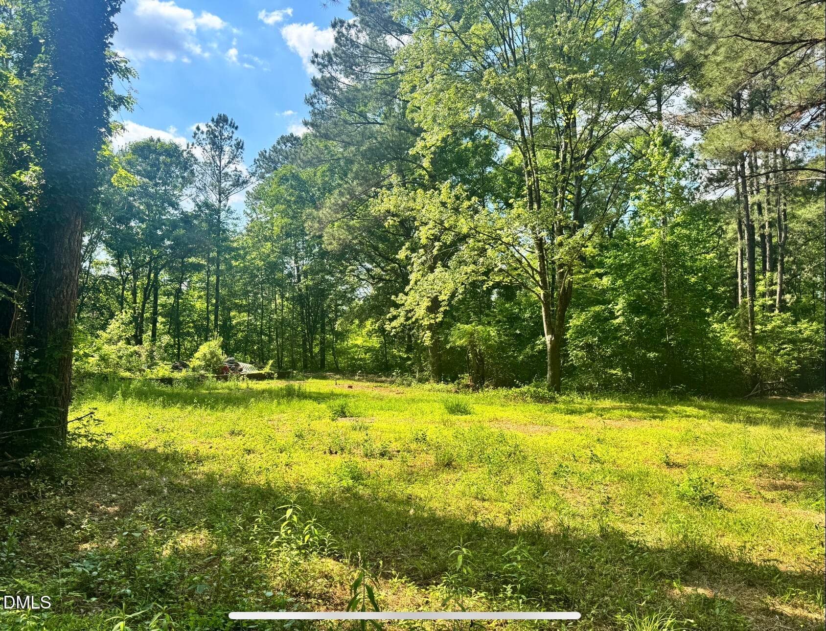 540 Crab Apple Lane, Erwin, NC 28339